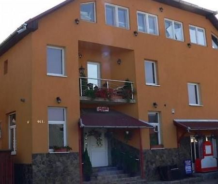 Engi Panzio Bed and Breakfast Ocna de Sus Buitenkant foto