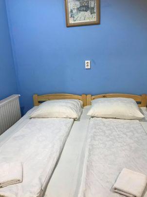 Engi Panzio Bed and Breakfast Ocna de Sus Buitenkant foto
