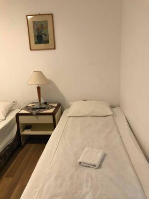 Engi Panzio Bed and Breakfast Ocna de Sus Buitenkant foto