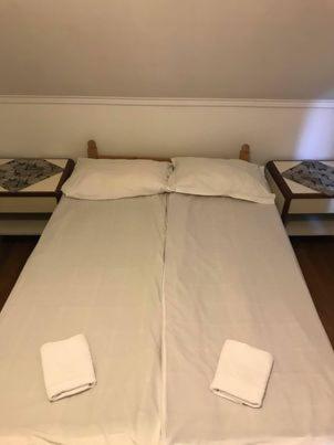 Engi Panzio Bed and Breakfast Ocna de Sus Buitenkant foto