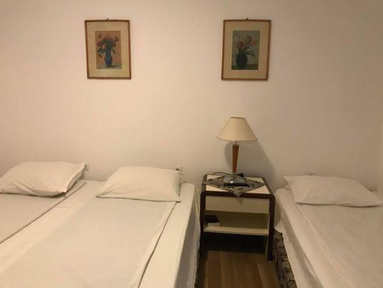Engi Panzio Bed and Breakfast Ocna de Sus Buitenkant foto