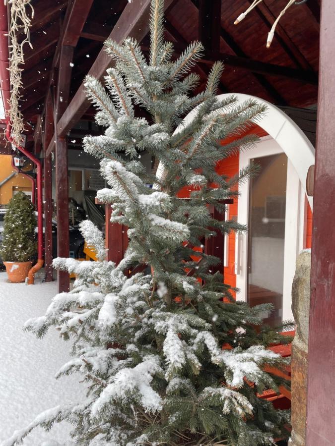 Engi Panzio Bed and Breakfast Ocna de Sus Buitenkant foto